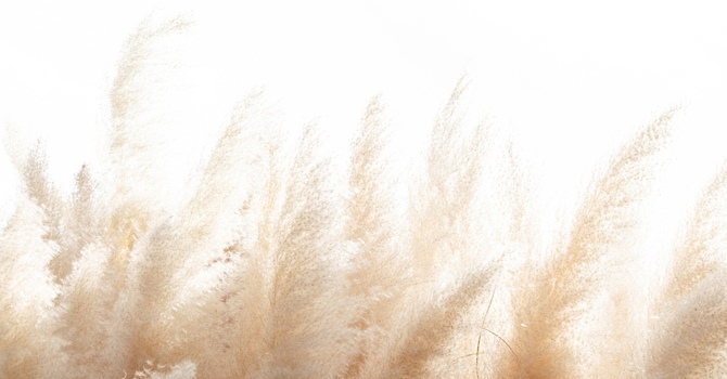 Clinical Supervision