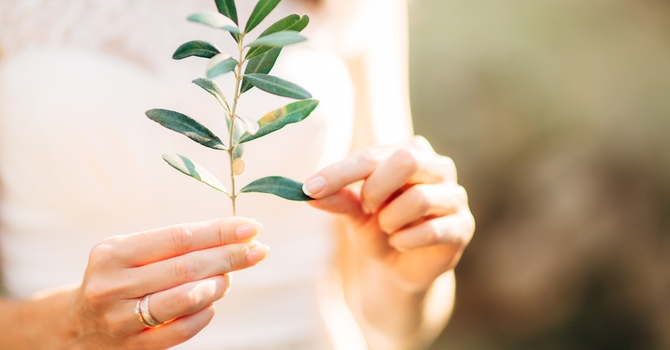 Clinical Supervision