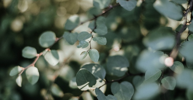 Clinical Supervision